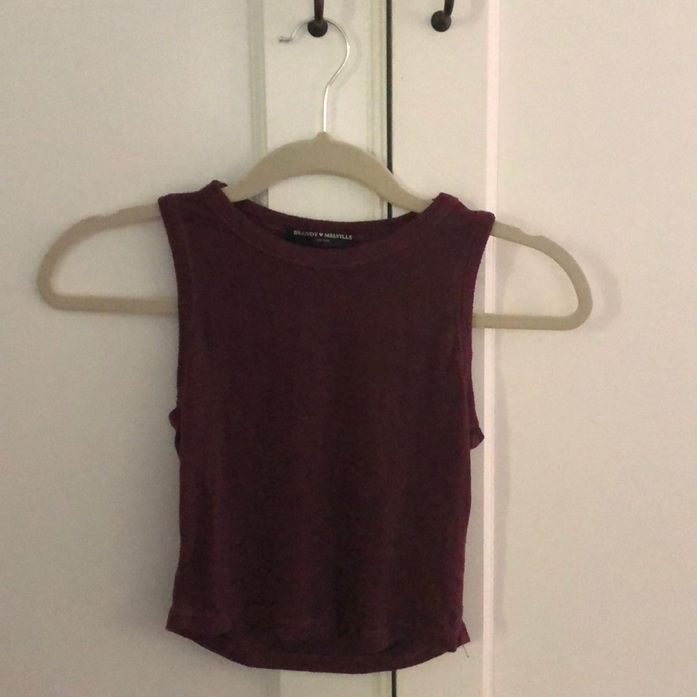 Brandy Melville Crop Top